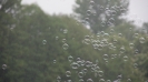 Piknik_zeglarski_15