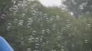 Piknik_zeglarski_16